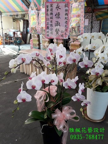 二水鄉花店_喪禮蘭花盆栽代送服務芬園鄉花店