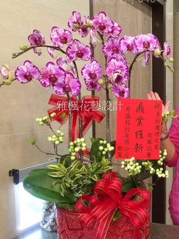 南投縣草屯鎮花店，開店蘭花盆栽南投縣名間鄉花店，南投縣集集鎮花店