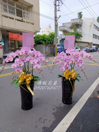 朋友父親過世送追思蘭花盆栽雲林縣虎尾惠來厝殯儀館出殯罐頭塔_頭七蘭花_公祭羅馬花柱外送服務