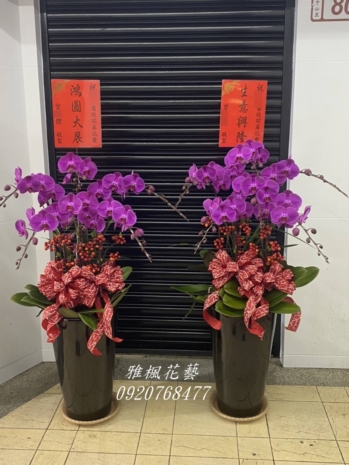 朋友新居落成紅色蘭花盆栽麥寮花店&北港花店推薦開幕蘭花盆栽