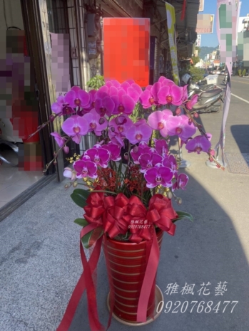 新港花店奉天宮蘭花盆栽外送服務0935768477雅楓花店