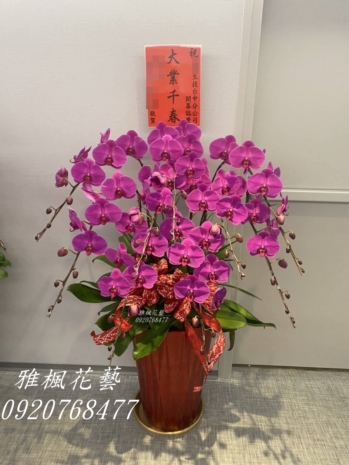 彰化員林雅楓花店蘭花盆栽畫展圓滿成功